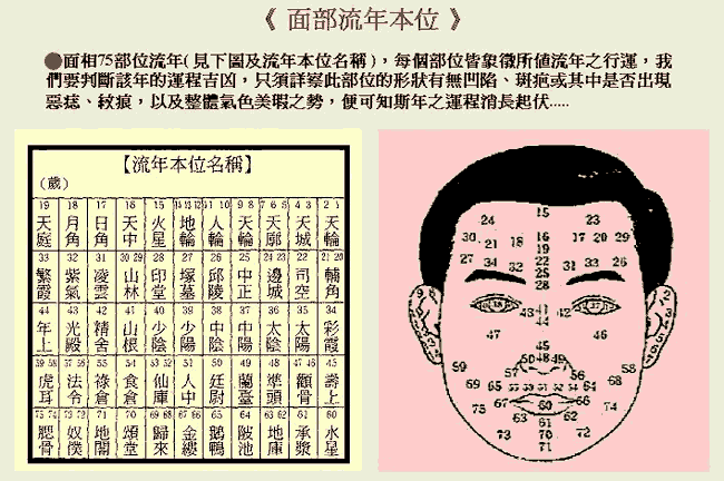 �����沿����