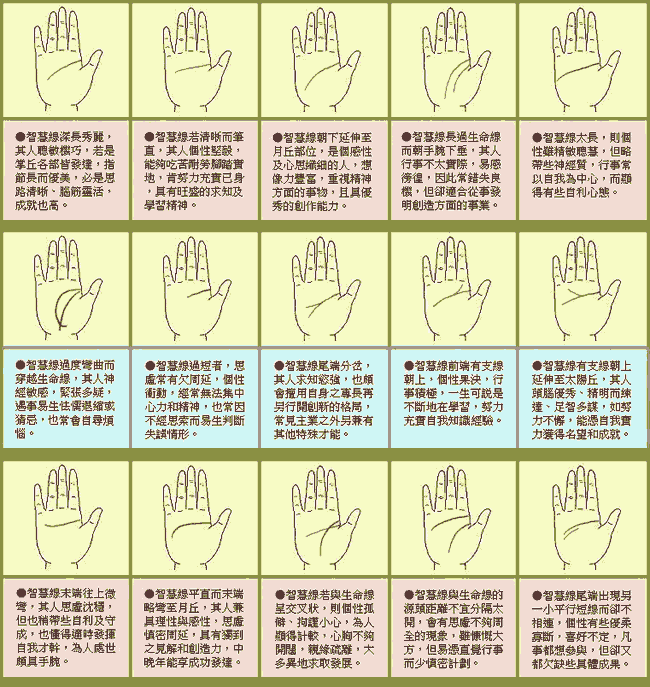 �����ǻ���