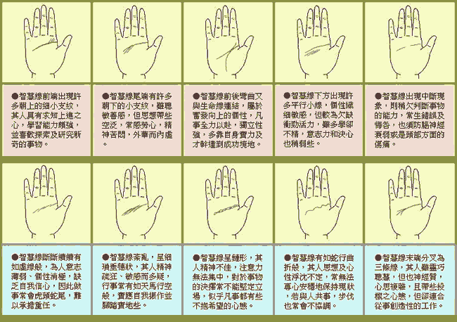 �����ǻ���